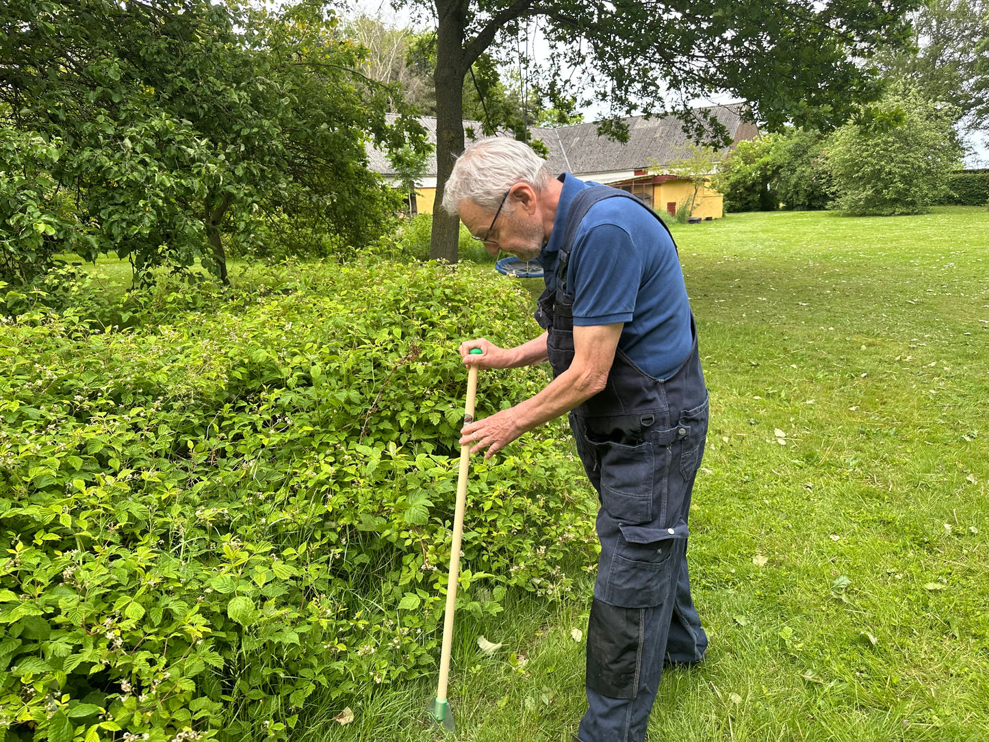 Pakketilbud - 2 stk. SnegleKløven (spar 30%)
